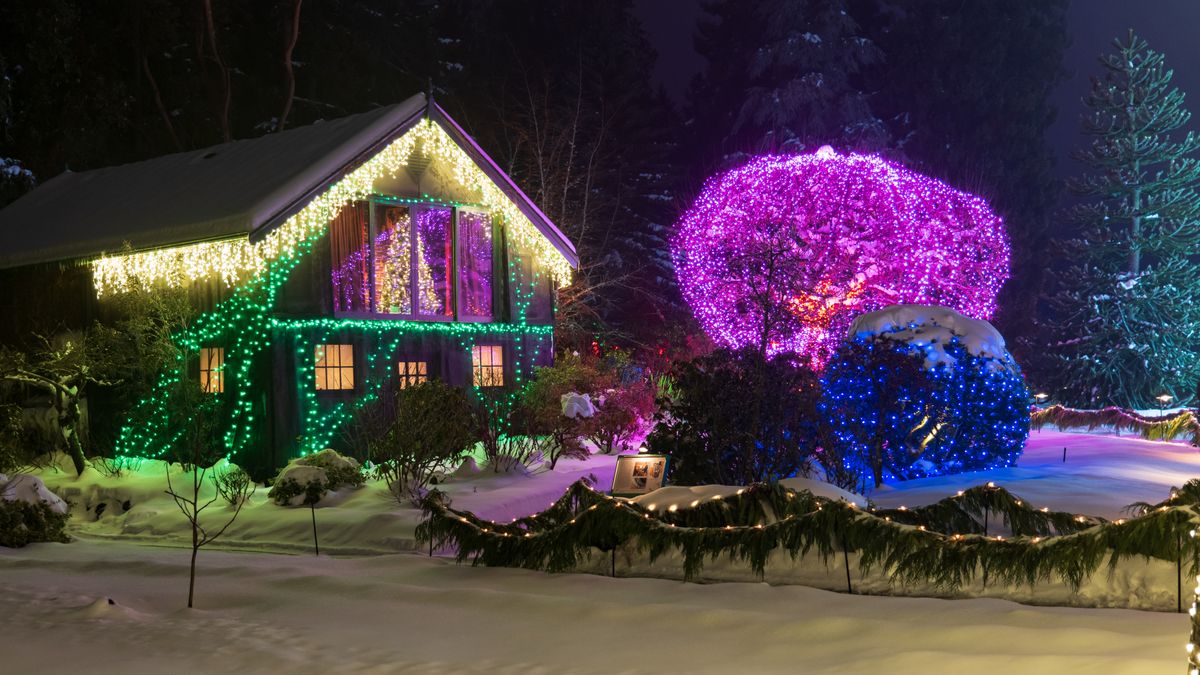 Professionally installed Christmas lights — Roofline + yard trees — <b>Easley</b>